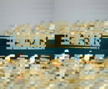 Scrabble tiles on a stand spelling out the word 'learn'