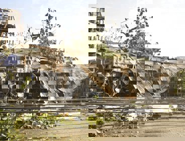 Trees and a building blown over during a typhoon in the Phillipines