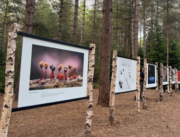 Earth Photo 2022 exhibition at Moors Valley.