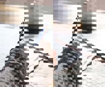 A hand holding a pen and writing at a wooden desk. A cup of coffee is in the background.