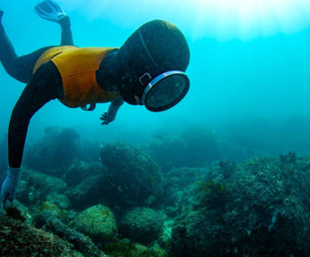 A freediver explores the seabed.