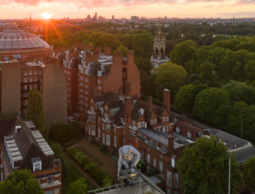 Great ape installation at the Society during sunset.