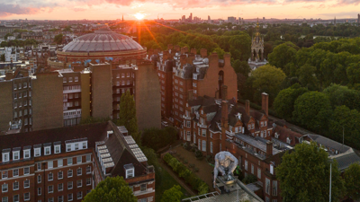 Great ape installation at the Society during sunset.